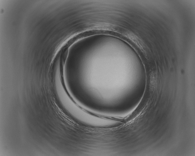 X0000083610926200702201246