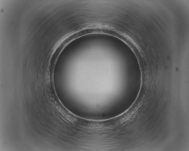 X0000083610927200702201246