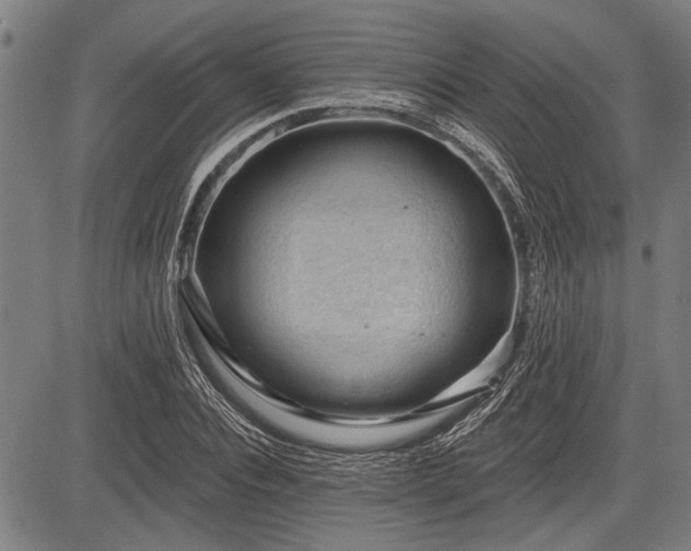 X0000083610928200702201246