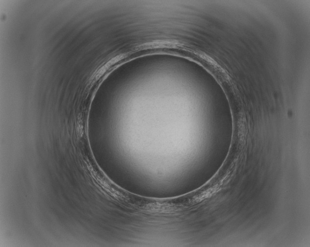 X0000083610929200702201246