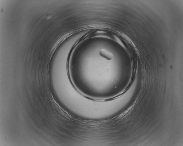 X0000083610930200702201246