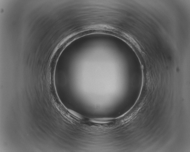 X0000083610931200702201246