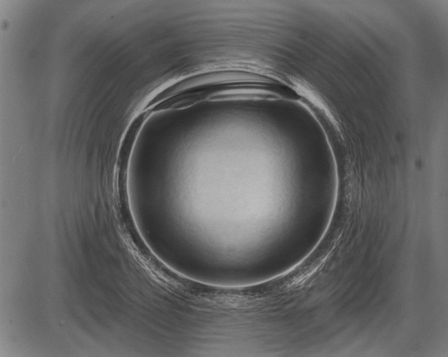 X0000083610932200702201246