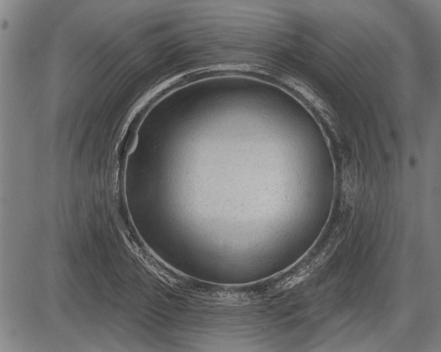 X0000083610933200702201246