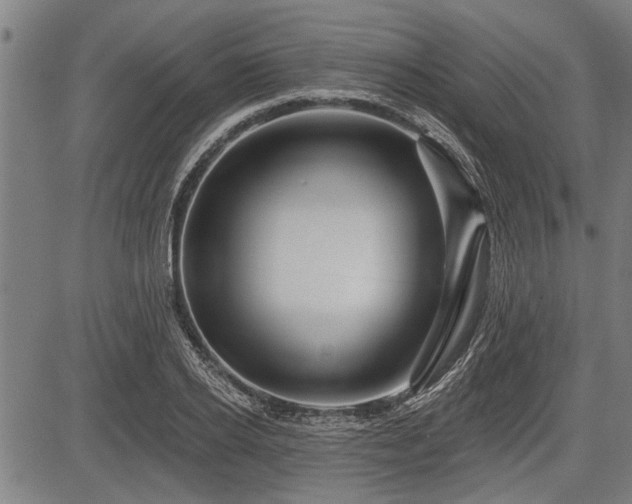 X0000083610934200702201246