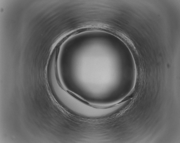 X0000083610936200702201246