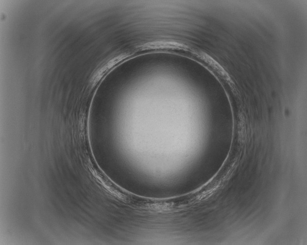 X0000083610937200702201246