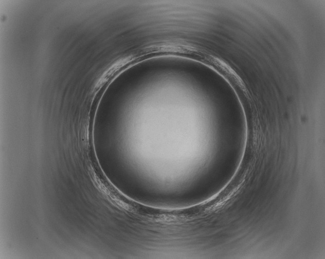 X0000083610938200702201246