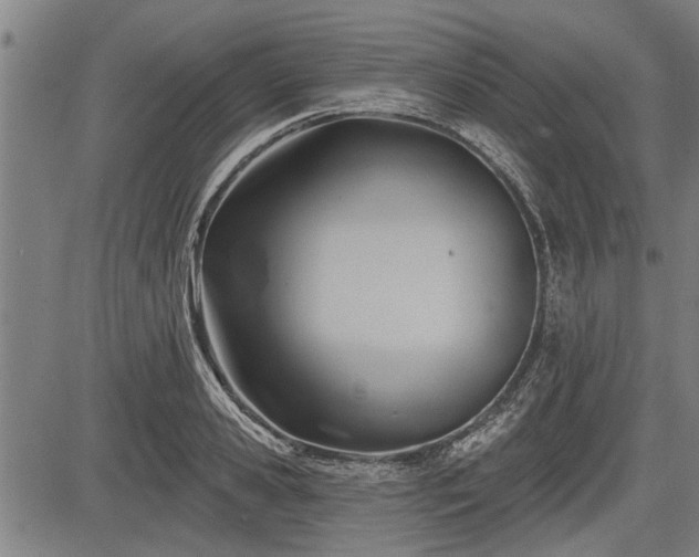 X0000083610941200702201246