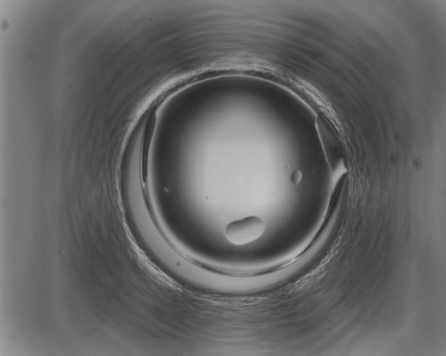 X0000083610942200702201246