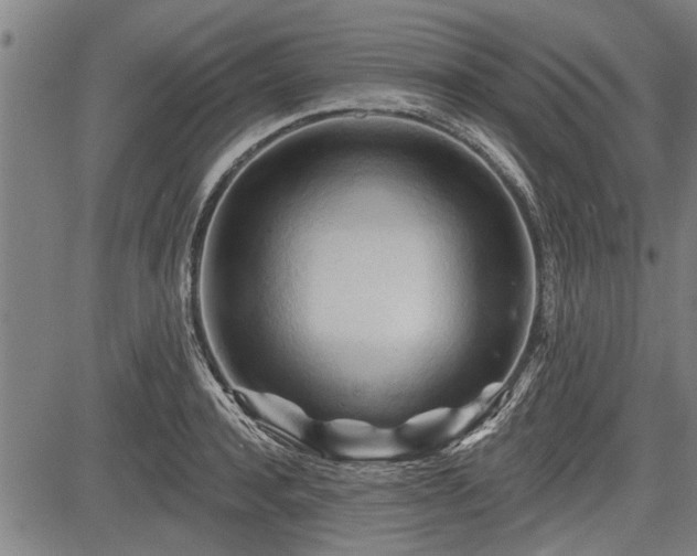 X0000083610944200702201246