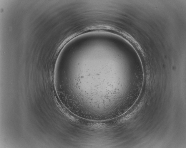 X0000083610945200702201246