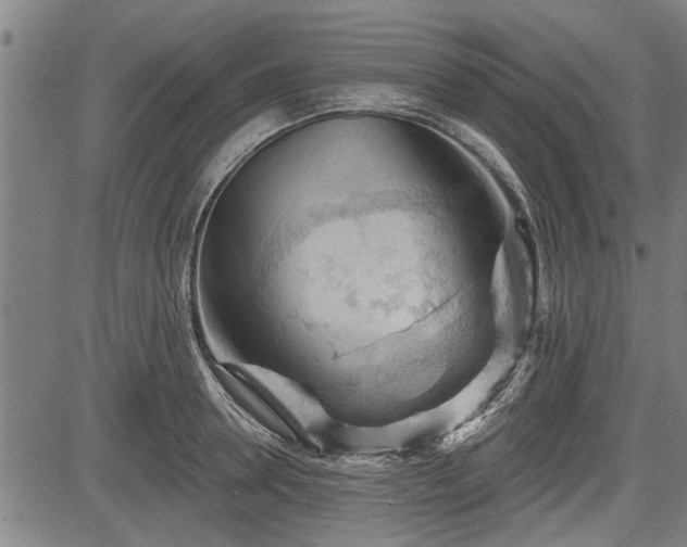 X0000083610946200702201246