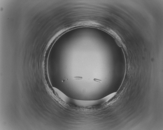 X0000083610947200702201246