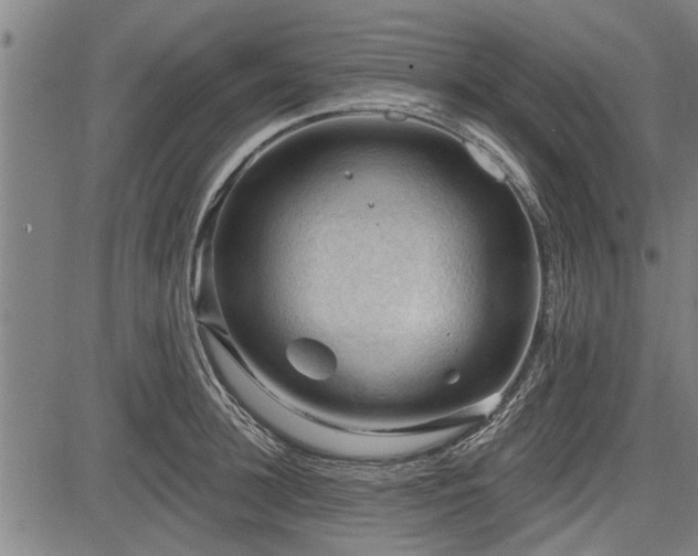 X0000083610948200702201246