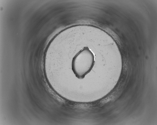 X0000083610950200702201246