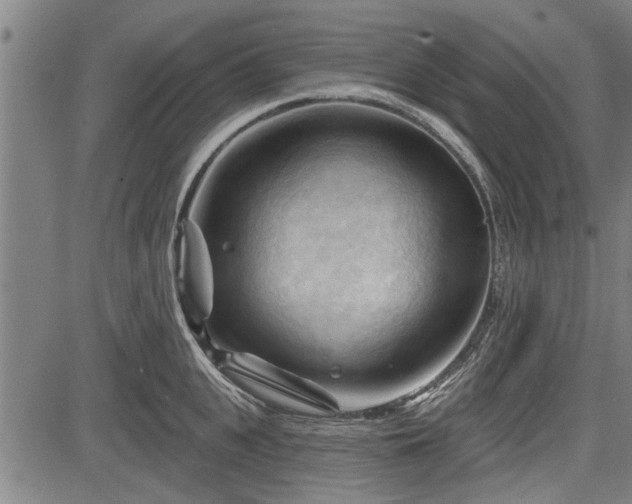 X0000083610951200702201246