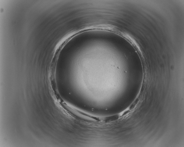 X0000083610952200702201246