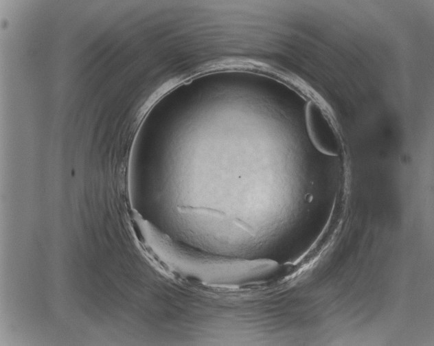 X0000083610953200702201246