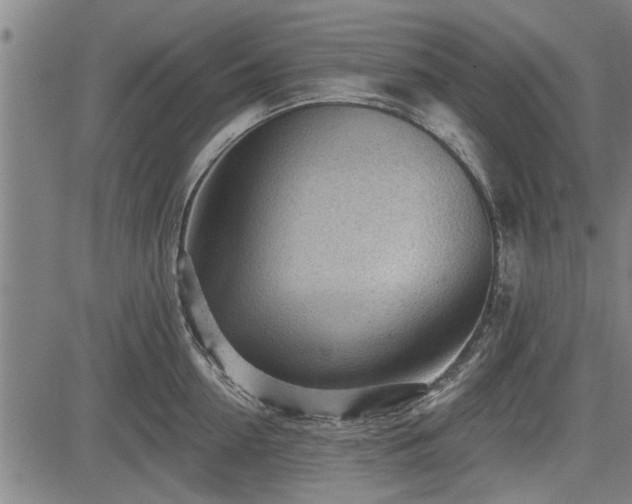 X0000083610954200702201246