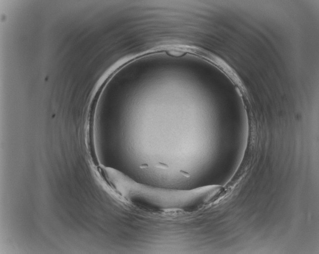 X0000083610955200702201246