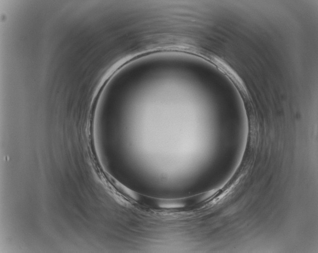 X0000083610956200702201246