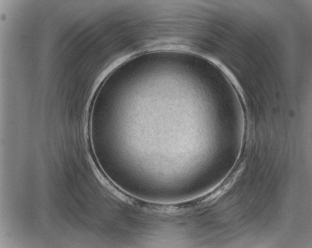 X0000083610957200702201246