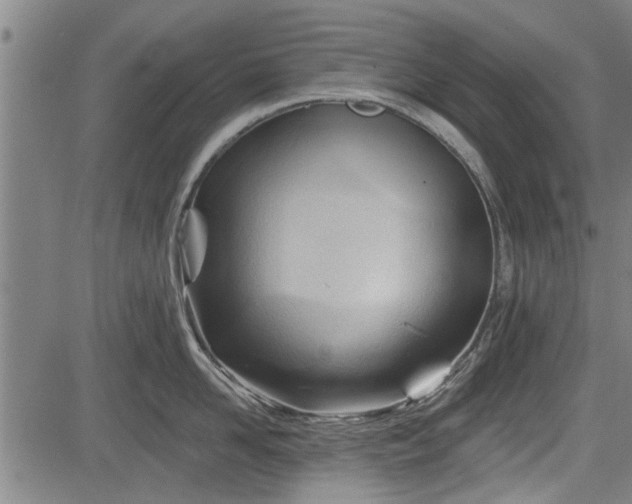 X0000083610958200702201246