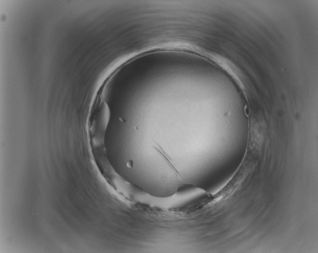 X0000083610959200702201246