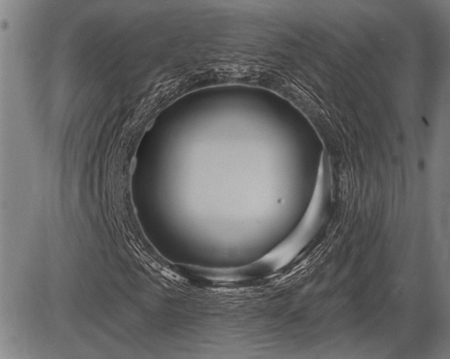 X0000083610961200702201245