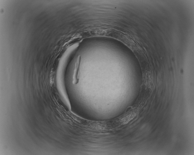 X0000083610962200702201245