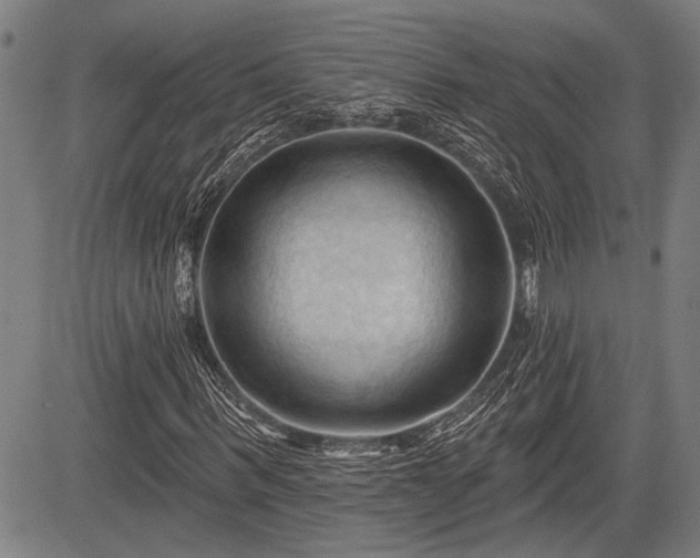 X0000083610963200702201245