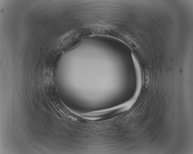 X0000083610964200702201245