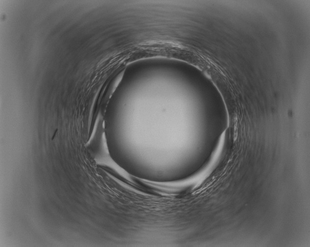 X0000083610965200702201245