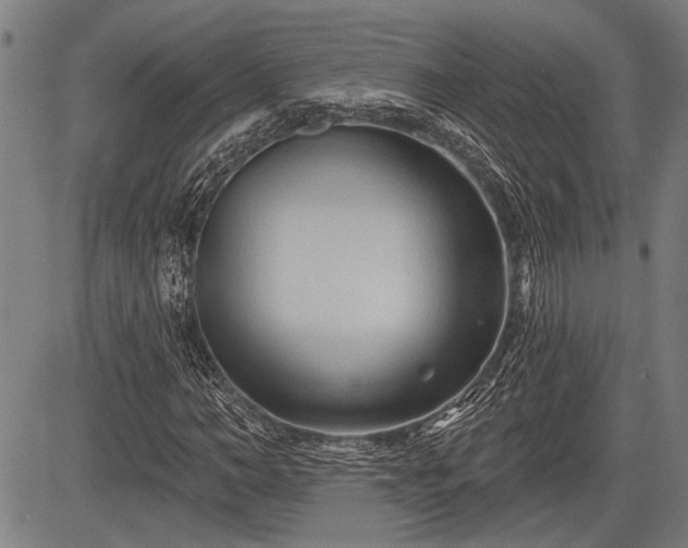 X0000083610966200702201245