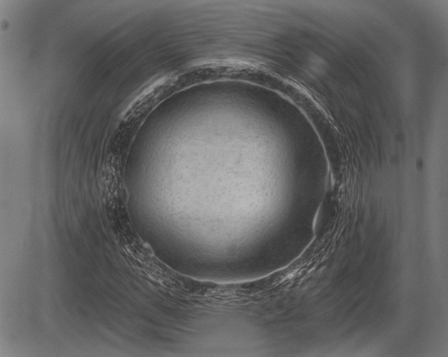 X0000083610967200702201245