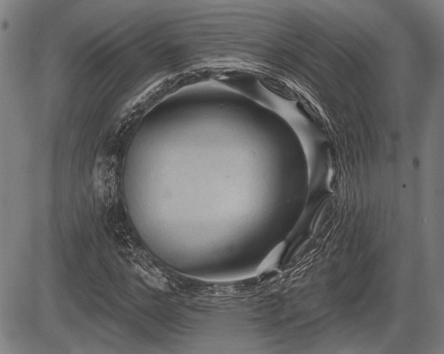 X0000083610968200702201245