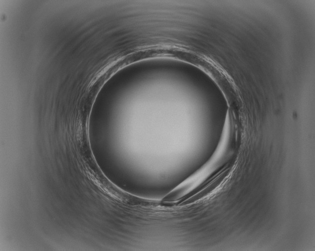 X0000083610969200702201245