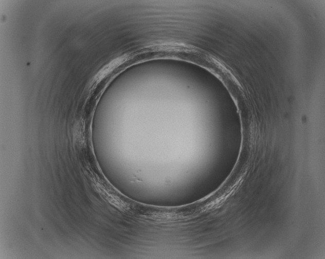 X0000083610970200702201245