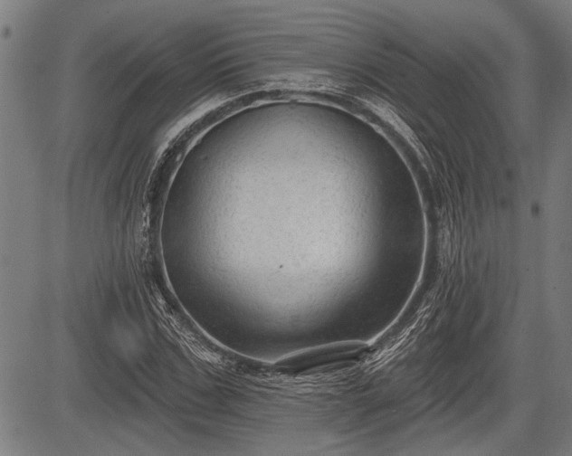 X0000083610971200702201245