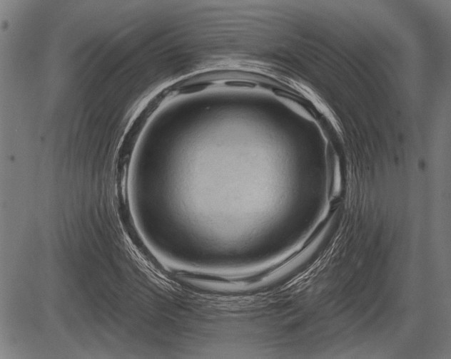 X0000083610972200702201245