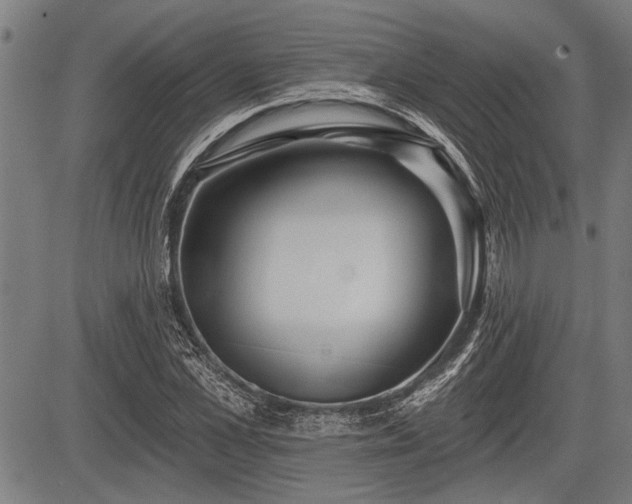 X0000083610973200702201245