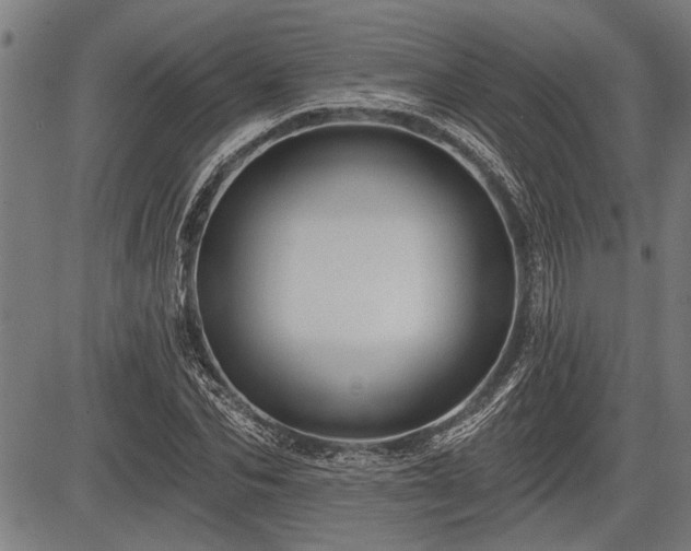 X0000083610974200702201245