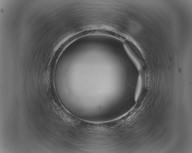 X0000083610975200702201245