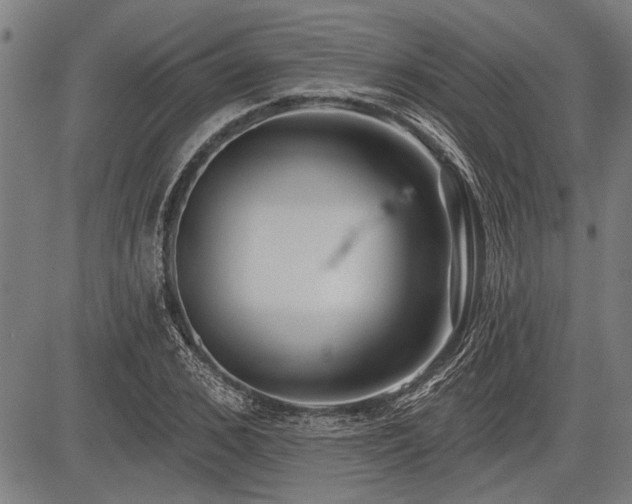 X0000083610976200702201245