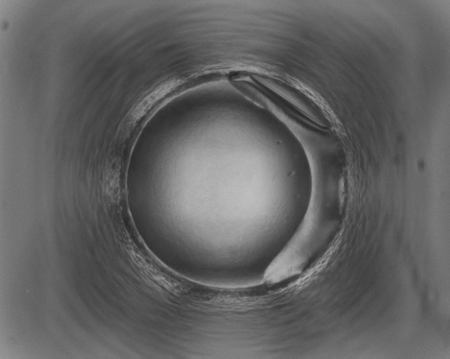 X0000083610977200702201245