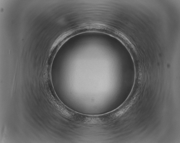 X0000083610978200702201245