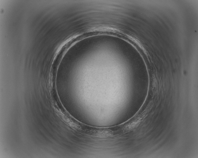 X0000083610979200702201245