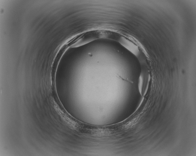 X0000083610980200702201245