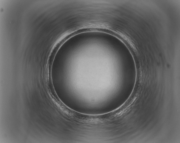 X0000083610982200702201245